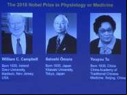 Trio vence Nobel de Medicina com tratamento contra infec